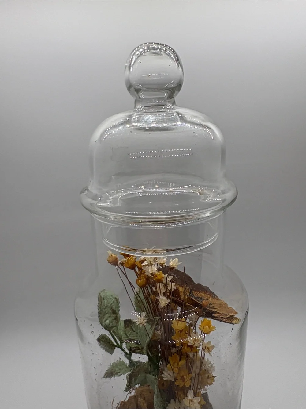 Apothecary Jar VTG Dried Flower Cloche Yellow 70s